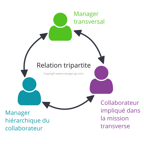 Relation tripartite transverse